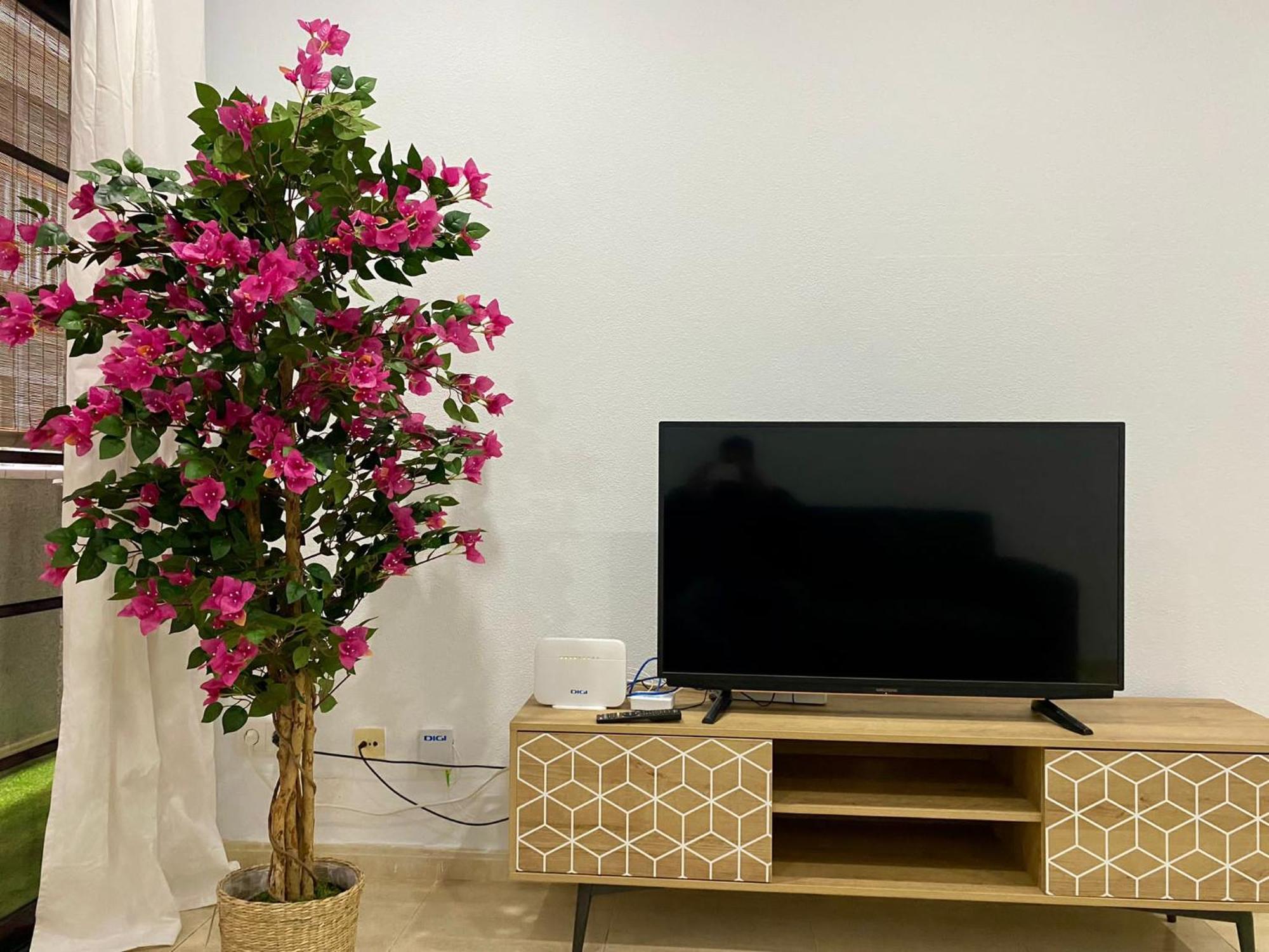 Loft Santa Catalina Park II Διαμέρισμα Λας Πάλμας ντε Γκραν Κανάρια Εξωτερικό φωτογραφία